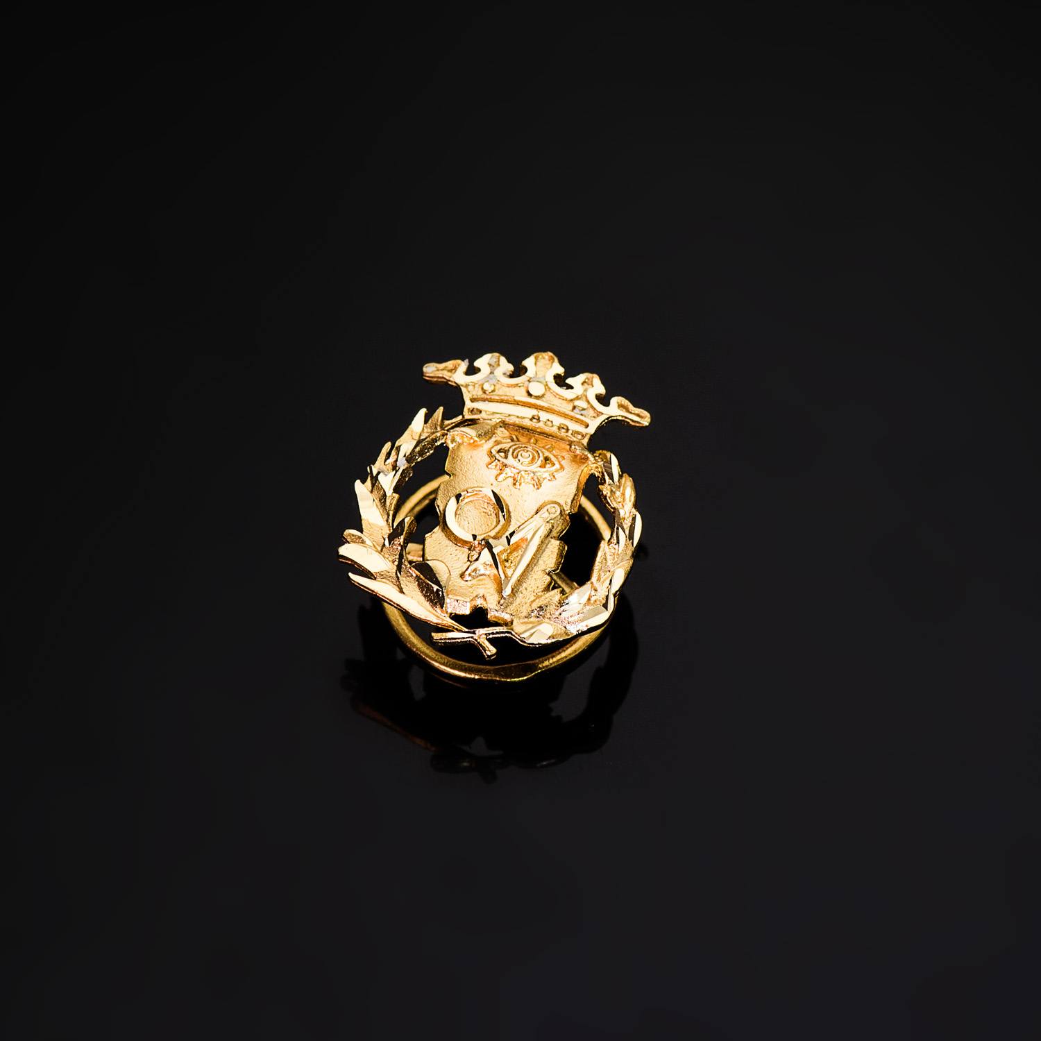 18K INSIGNIA ORO AMARILLO CIENCIAS EXACTAS. 17 X 14 MM - Imagen 2