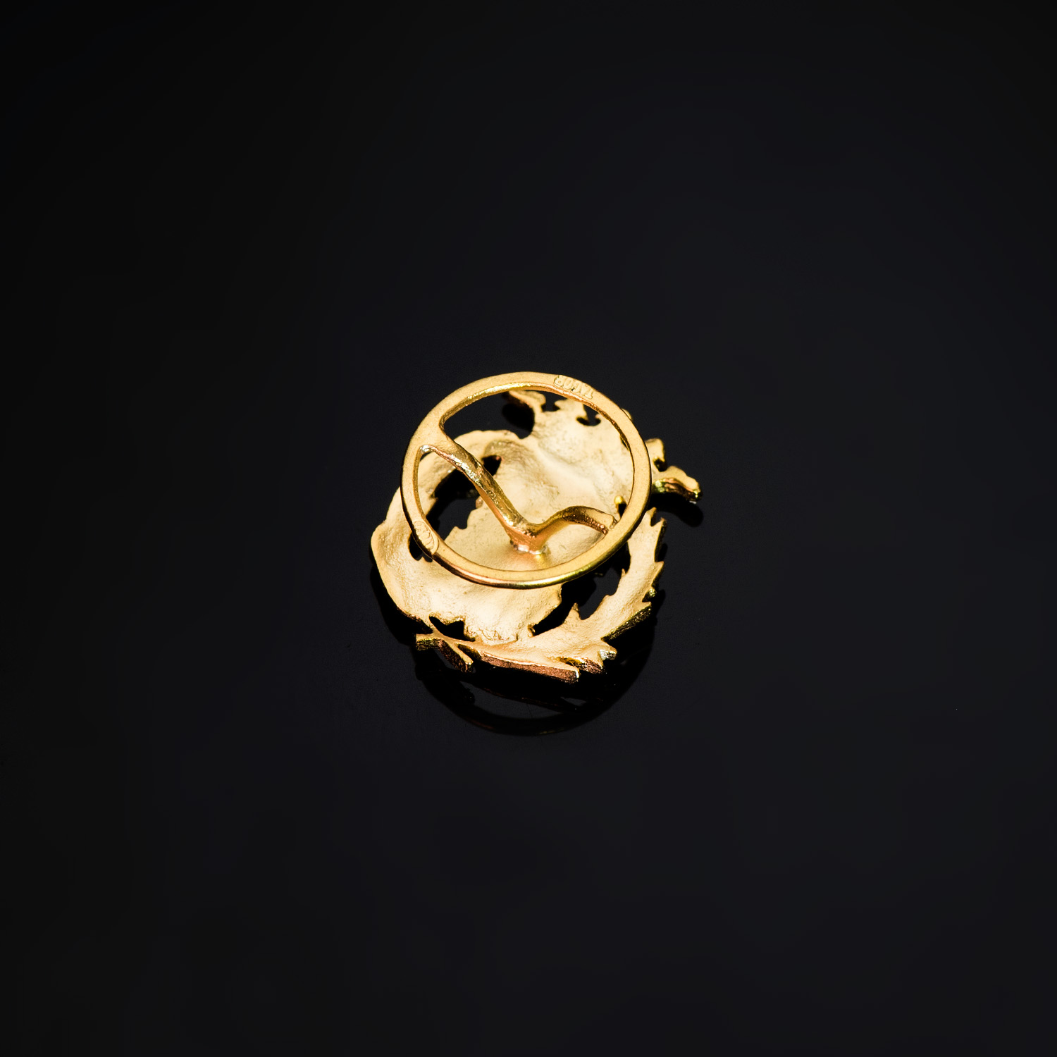 18K INSIGNIA ORO AMARILLO CIENCIAS EXACTAS. 17 X 14 MM - Imagen 3